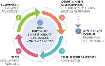 The OECD's six-step framework